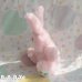 画像5: Paw Of Carrot Pink Bunny