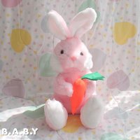 Mister Carrot Bunny