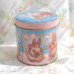 画像6: Easter Bunny Tin Box