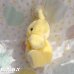 画像4: Marguerite Yellow Bunny