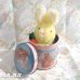 画像1: Easter Bunny Tin Box (1)