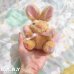 画像6: Honey Pancake Mini Bunny