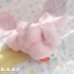 画像7: Paw Of Carrot Pink Bunny