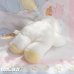 画像5: Pastel Fun Baby Bear