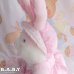 画像12: Baby & Mom Pink Dot Pocket Bunny