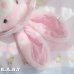 画像11: Baby & Mom Pink Dot Pocket Bunny