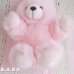 画像3: Goody-Goody Pink Bear