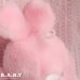 画像5: Pink Mini Bunny