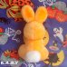 画像4: Halloween Pumpukin Mini Bunny