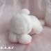 画像5: DAKIN Round White Bunny