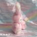 画像3: Candy Pink Bunny