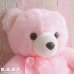 画像3: HUG ME Pink Bear