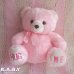 画像1: HUG ME Pink Bear (1)