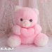 画像2: "It's a girl" Heart Pink Bear (2)