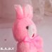画像4: Lovely Pink Ornament Mini Bunny
