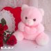 画像1: "It's a girl" Heart Pink Bear (1)