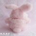 画像5: Ruffle Lace Bunny