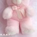 画像5: Fluffy Pink Bear