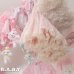 画像6: Flocked Star Lace Pink Petticoat