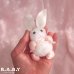 画像8: Pom-Pom Mini Bunny