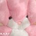 画像2: T.W.I.E Pink Bunny 3D Pillow (2)
