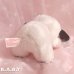 画像5: Baby Mini Lamb