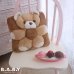 画像6: Coffee Bear 3D Pillow