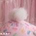 画像10: Bunny Slipper Jelly Beans Pink Bunny