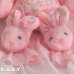 画像4: Bunny Slipper Jelly Beans Pink Bunny
