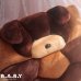 画像2: T.W.I.E Coffee Puppy 3D Big Pillow (2)