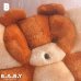 画像8: T.W.I.E CHocolate Bear 3D Pillow