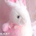 画像2: Rolly Polly Pink Bunny (2)