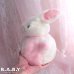 画像8: Rolly Polly Pink Bunny