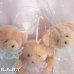 画像14: Organdy Bear Purse