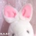 画像4: Rolly Polly Pink Bunny