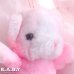 画像3: flabby Pink Mini Bear