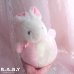 画像7: Rolly Polly Pink Bunny