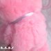 画像9: Cuddle Toys Pink Kitty