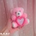 画像7: Heart Frame Pink Mini Bear