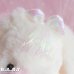 画像3: ice tickle / bunny