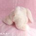 画像7: ice tickle / bunny