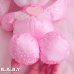 画像5: PJ Sparkles / Pink Bunny