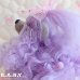 画像7: Sweetie Pups / Party Time Cocker Spaniel