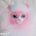 画像2: Sweetie Kitties / Tabby (2)