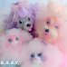 画像8: Sweetie Pups / Party Time Cocker Spaniel