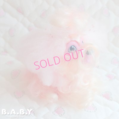 画像2: Sweetie Pups / Party Time Toy Poodle