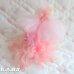 画像5: Sweetie Pups / Party Time Toy Poodle