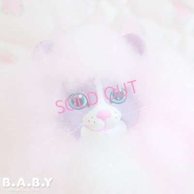 画像2: Sweetie Kitties / Party Time Himalayan