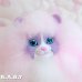 画像2: Sweetie Kitties / Party Time Himalayan (2)