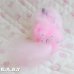 画像5: Sweetie Kitties / Party Time Himalayan